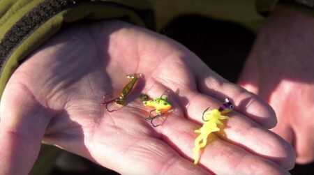 The Best Search Baits for Panfish